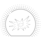 银奖